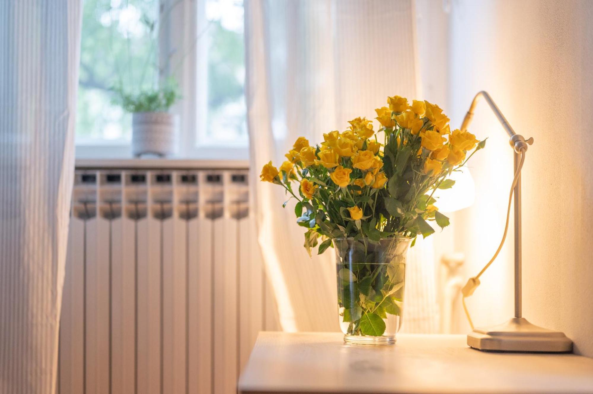 Apartament Bricks & Bikes Zagrzeb Zewnętrze zdjęcie