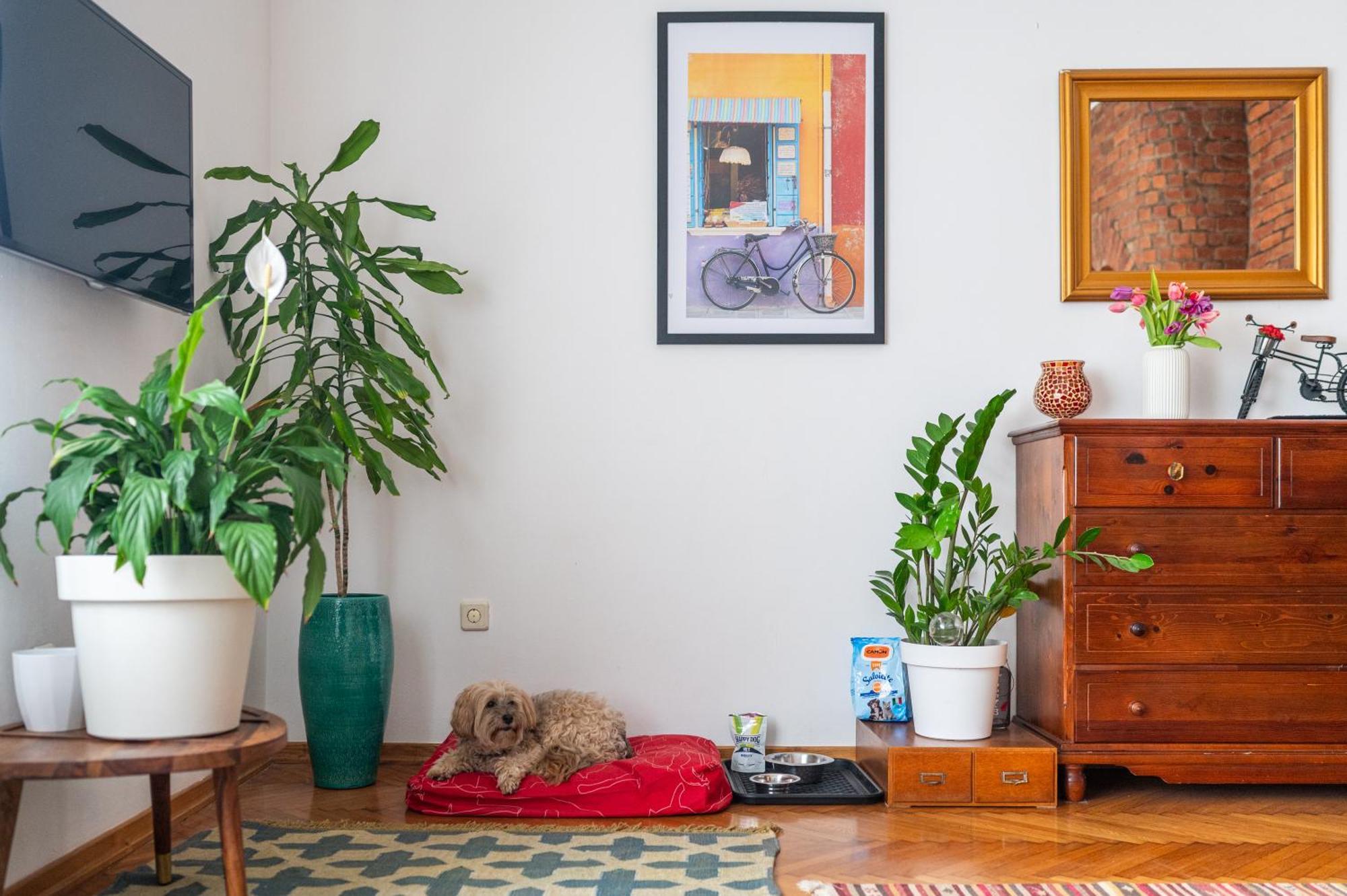 Apartament Bricks & Bikes Zagrzeb Zewnętrze zdjęcie